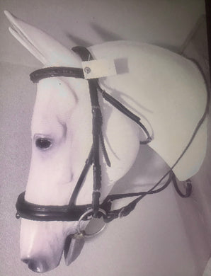 Dressage Bridle with Reins and Bit