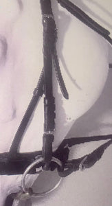 Dressage Bridle with Reins and Bit