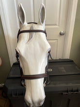 Load image into Gallery viewer, Harwich Padded Hunter Bridle