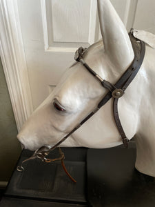 Western Bridle With Silver