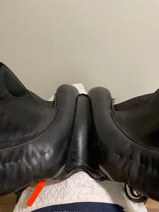 17.5 Black English Courbette