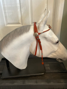 Western Show Bridle