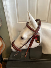 Load image into Gallery viewer, Kincade WB Bridle with Flash Noseband